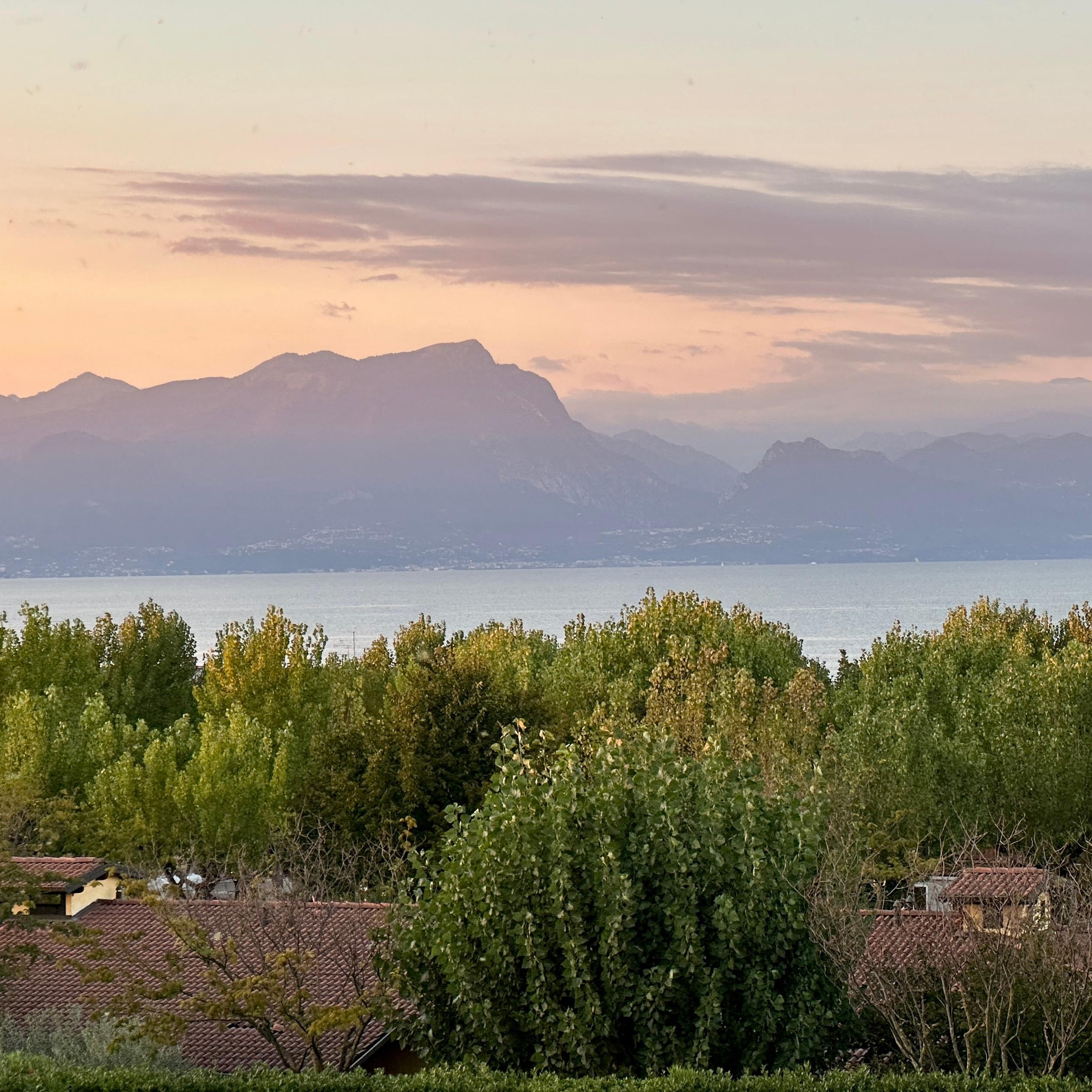 View from the rooftop deck.