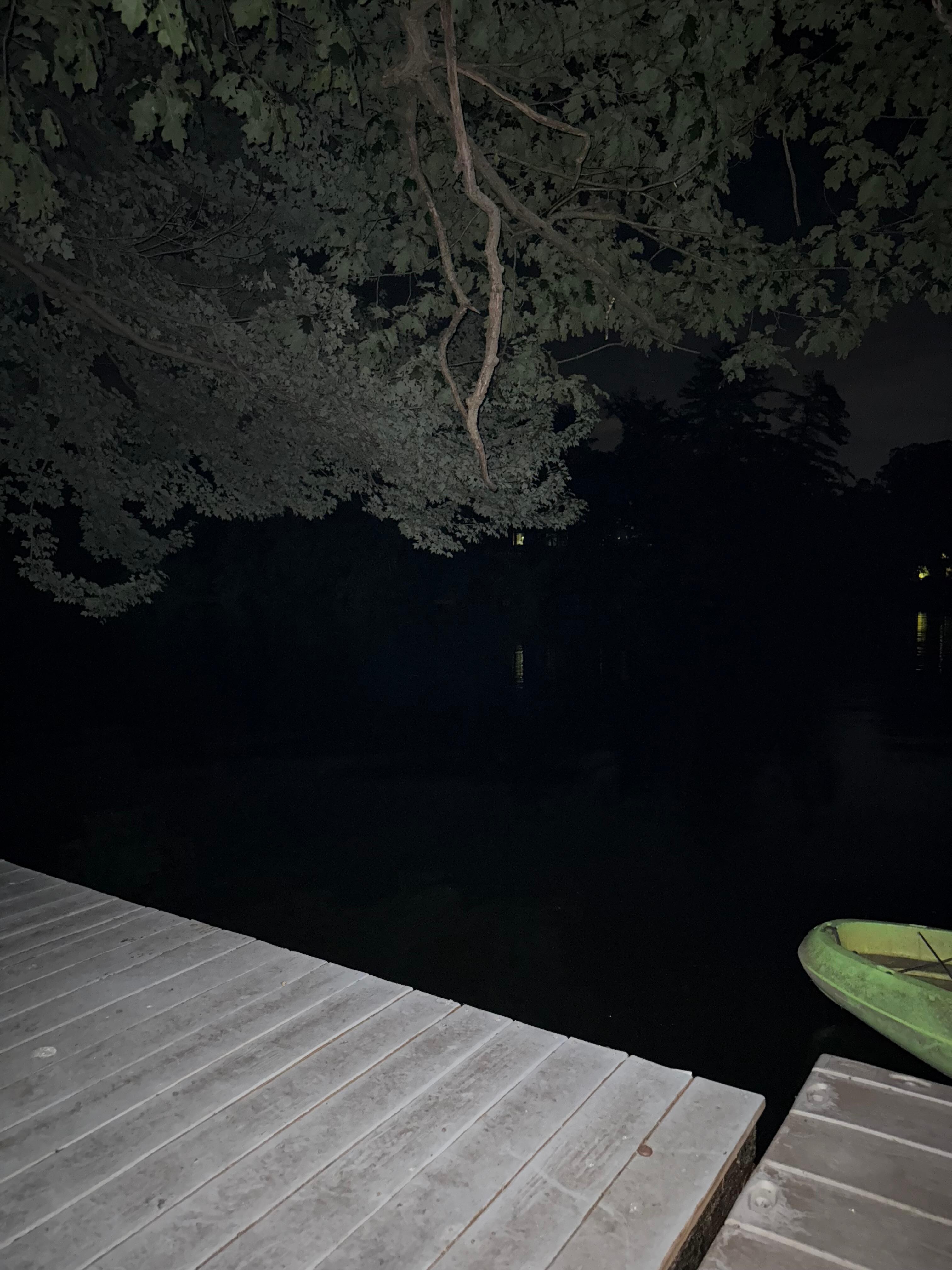 Peaceful lake at night 