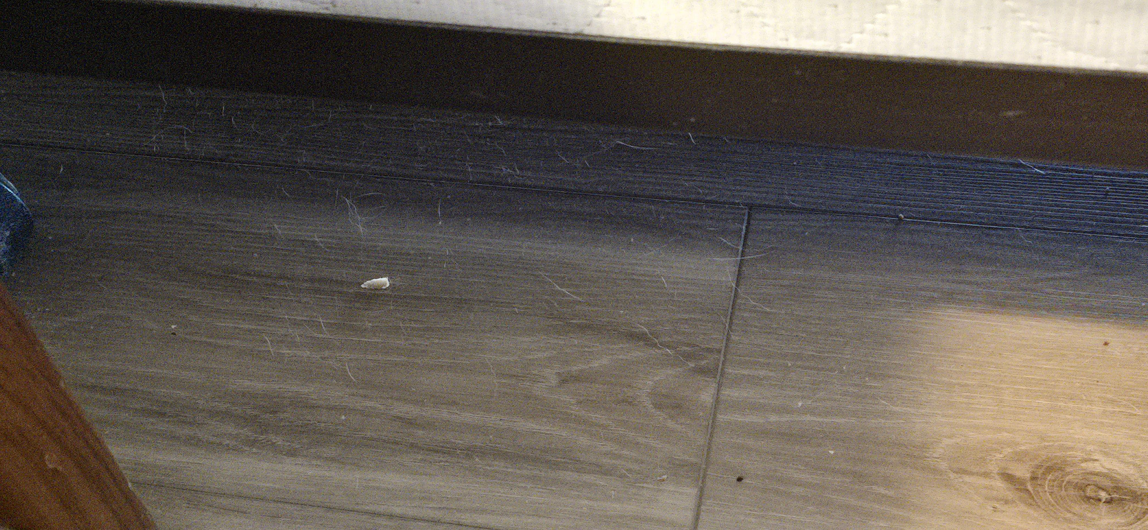 If you zoom out this picture this is underneath the bed 