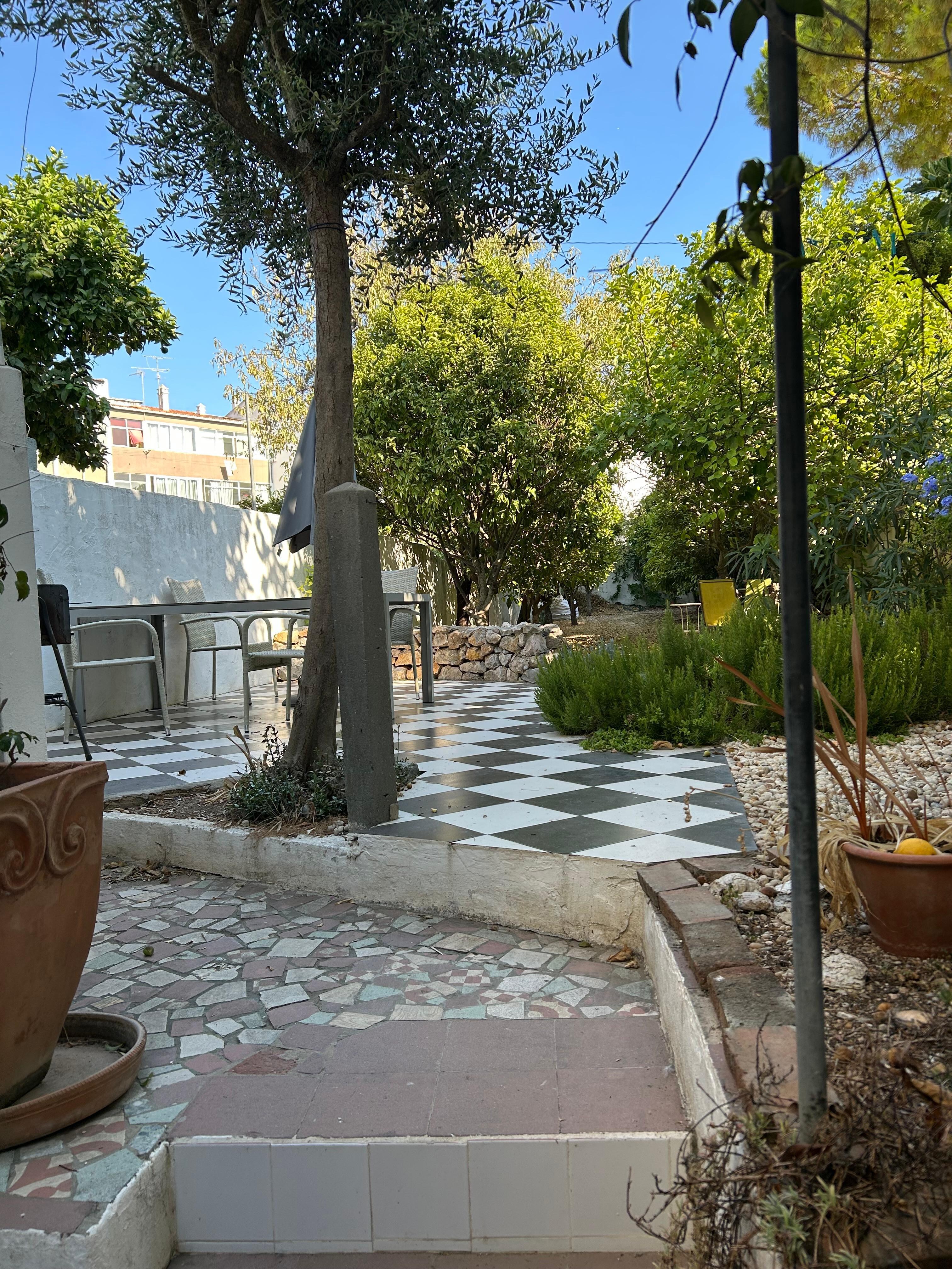 Back garden from back door