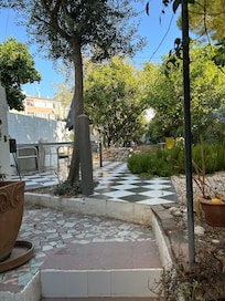 Back garden from back door