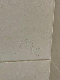 Hair on the shower walls from previous guest