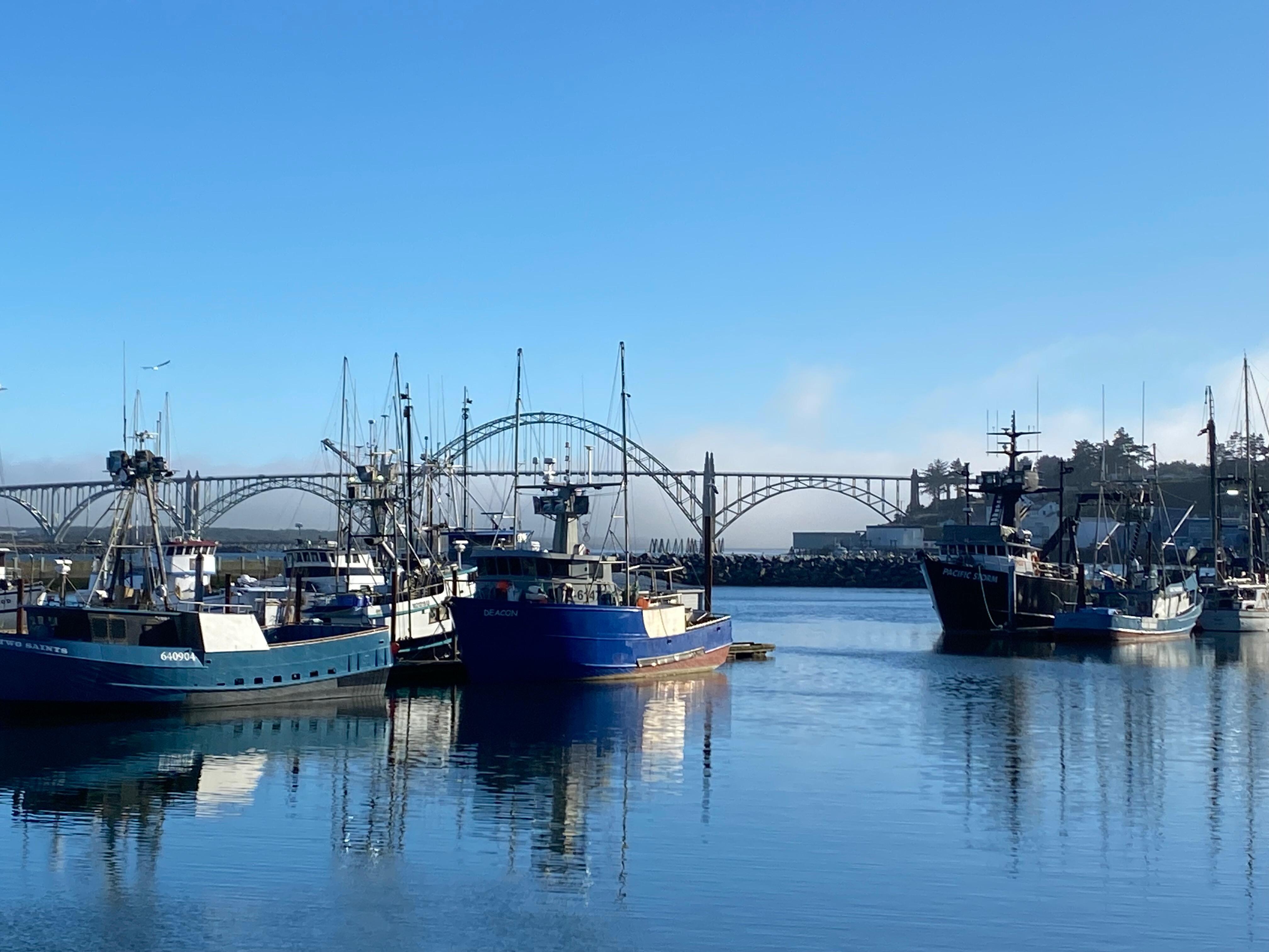Newport bay 