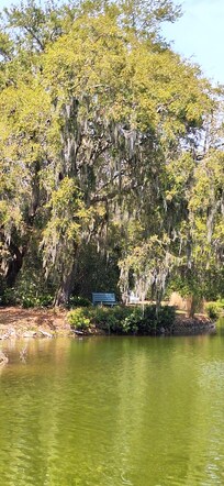 A nice place to relax at the pond a short walk from the home.
