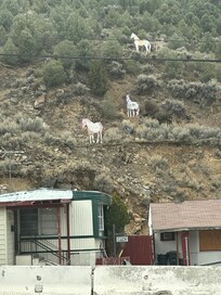 Best sight were the 3 steel horses