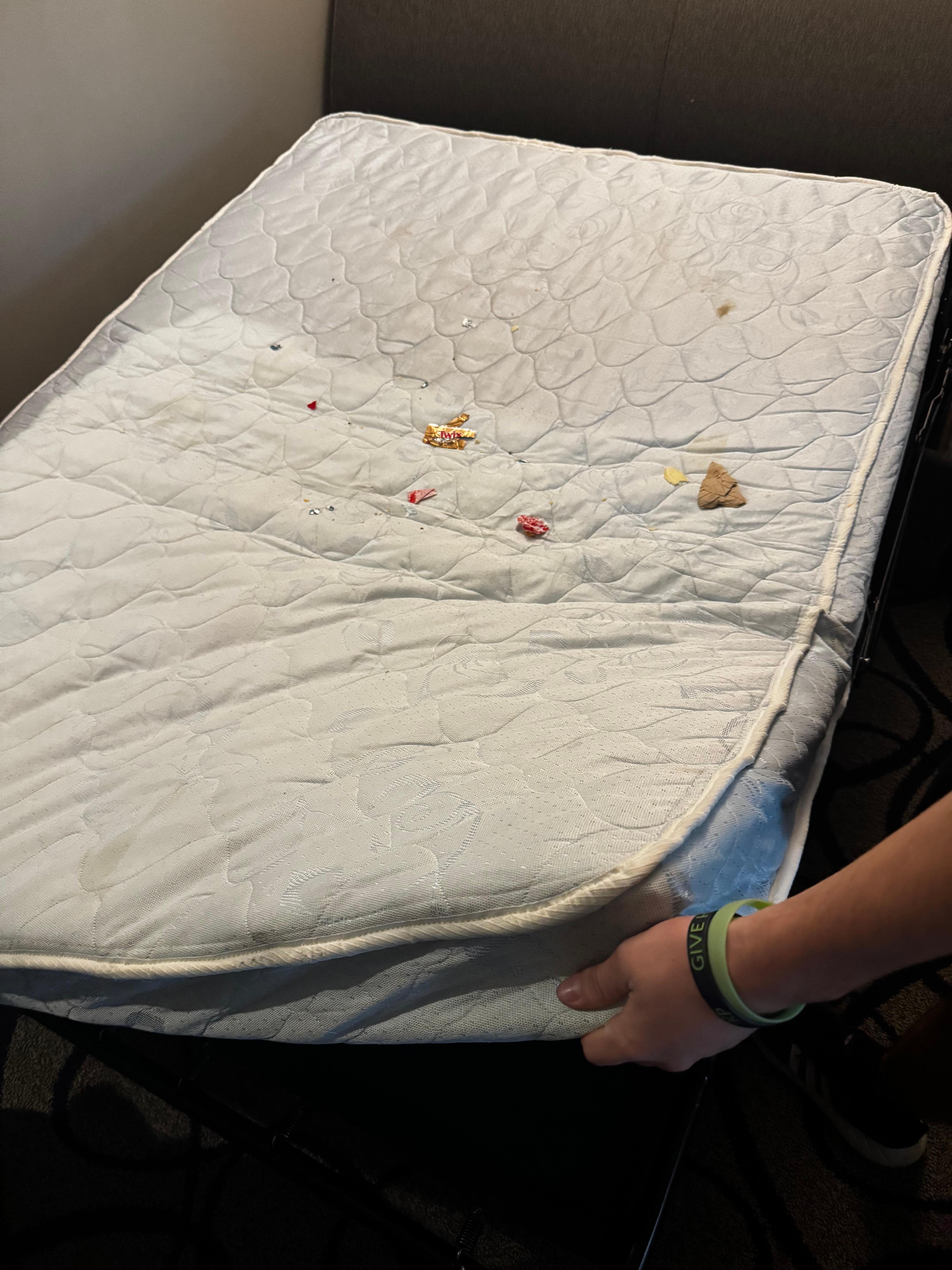 The pull out couch bed