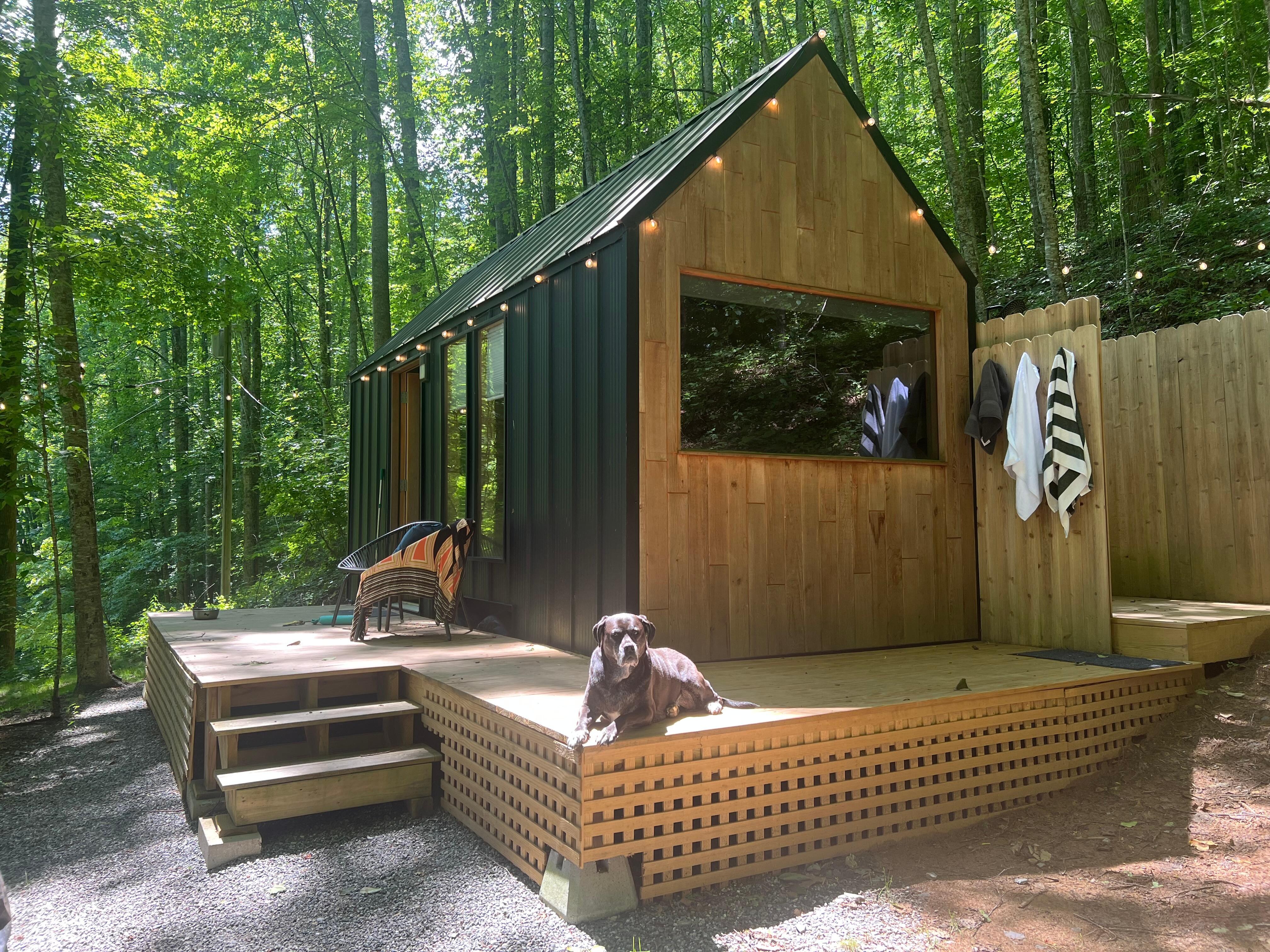 Great spot to stay that is dog friendly! 