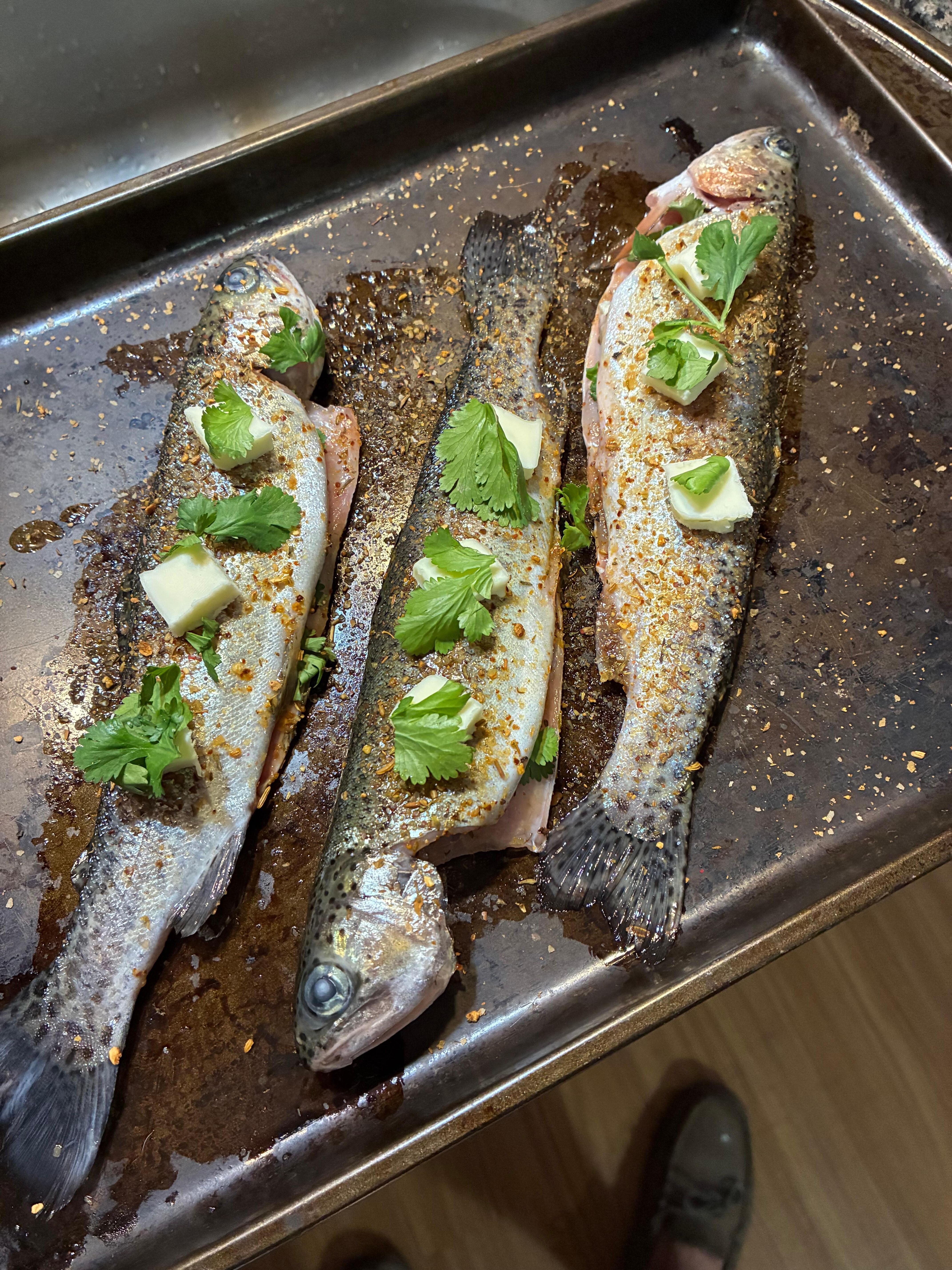 Good trout fishing 10 to 15 minutes away 