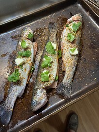 Good trout fishing 10 to 15 minutes away