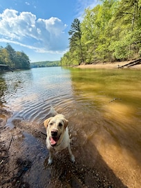 Lake Blue Ridge Day Use Area