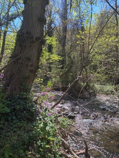 La Lentilla - river in Finestret