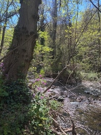 La Lentilla - river in Finestret