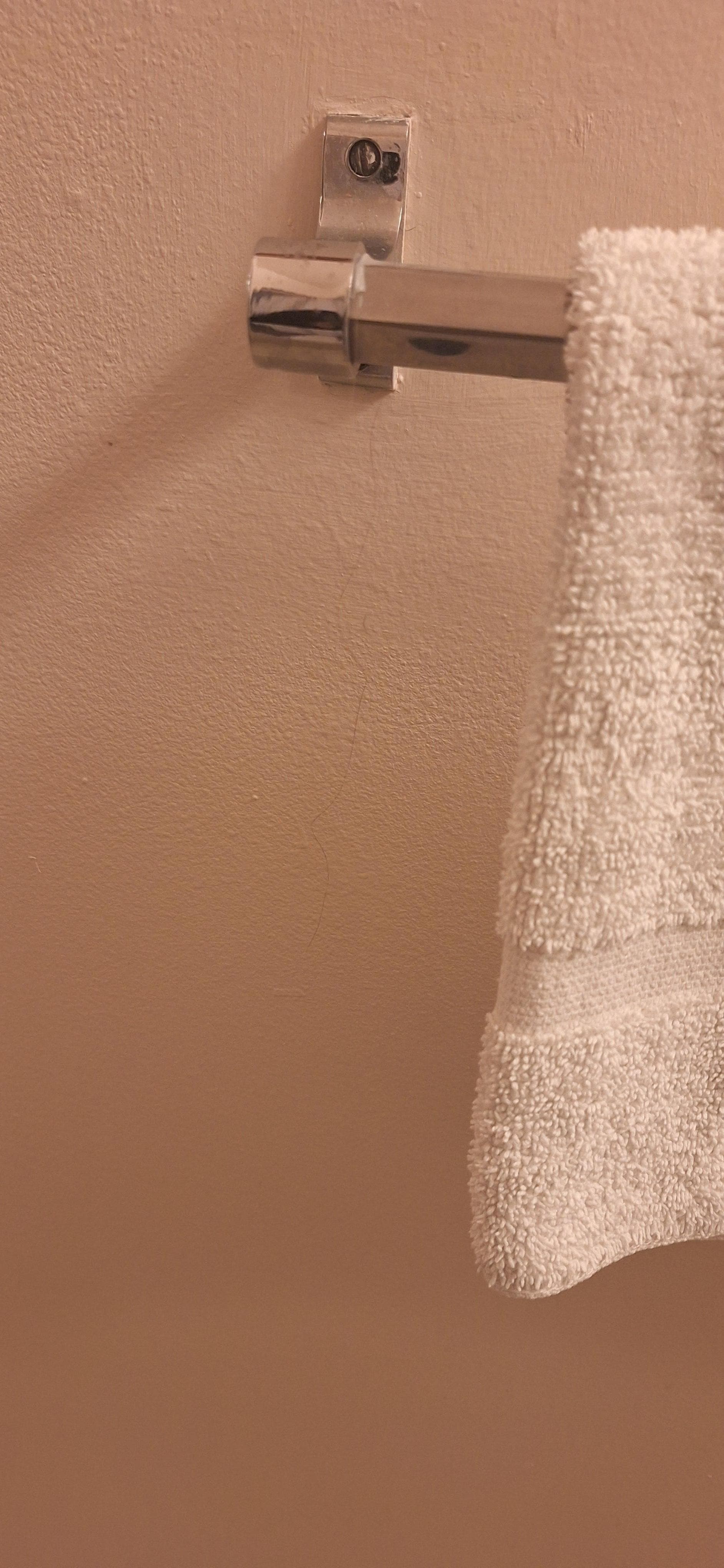 Hair was hanging from the towel bar