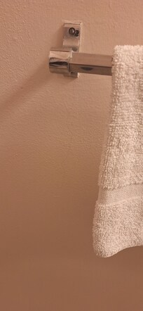 Hair was hanging from the towel bar