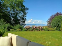 The view from the patio