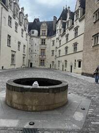 Cour du château de Pau