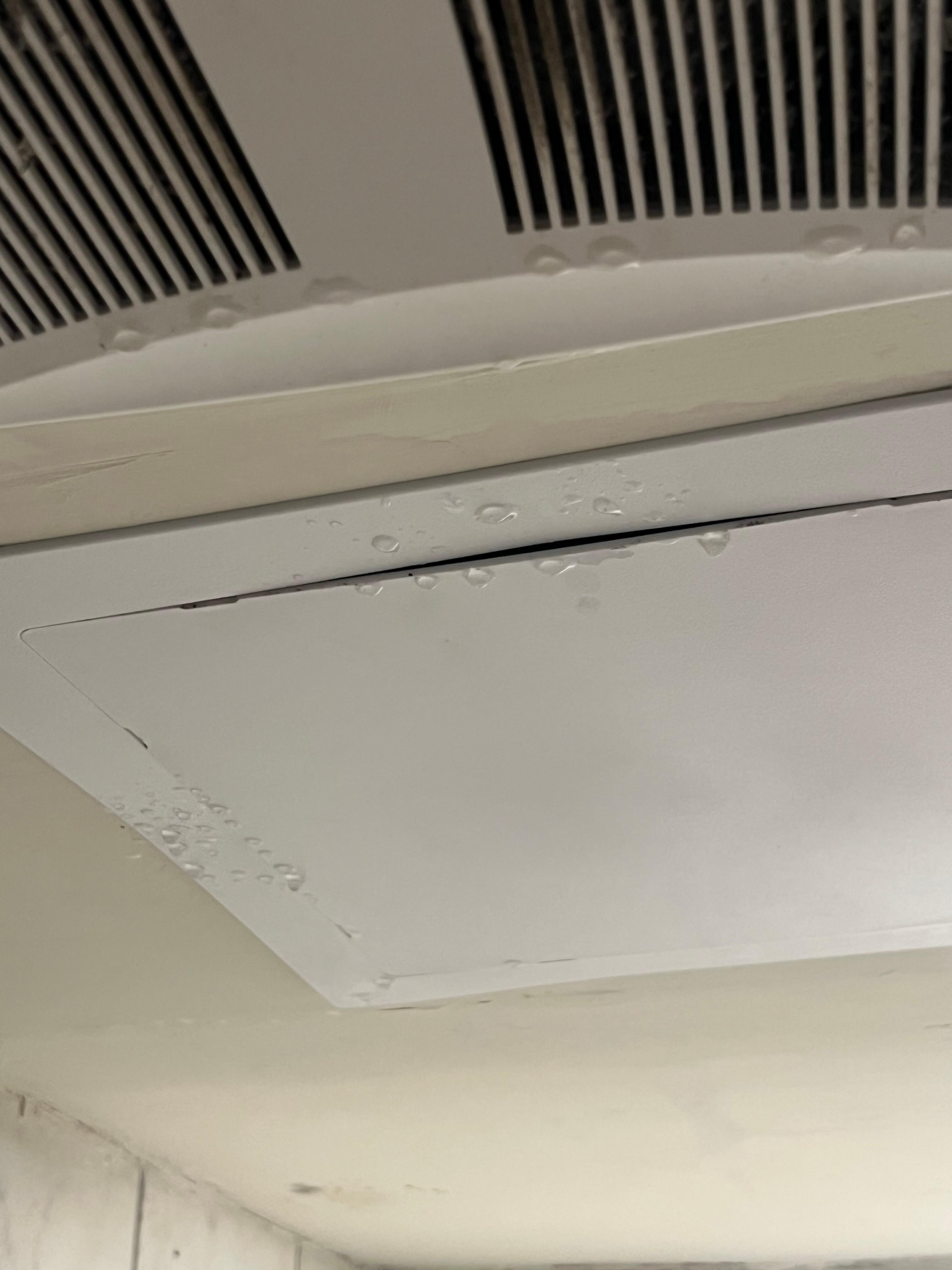Water from the ceiling 