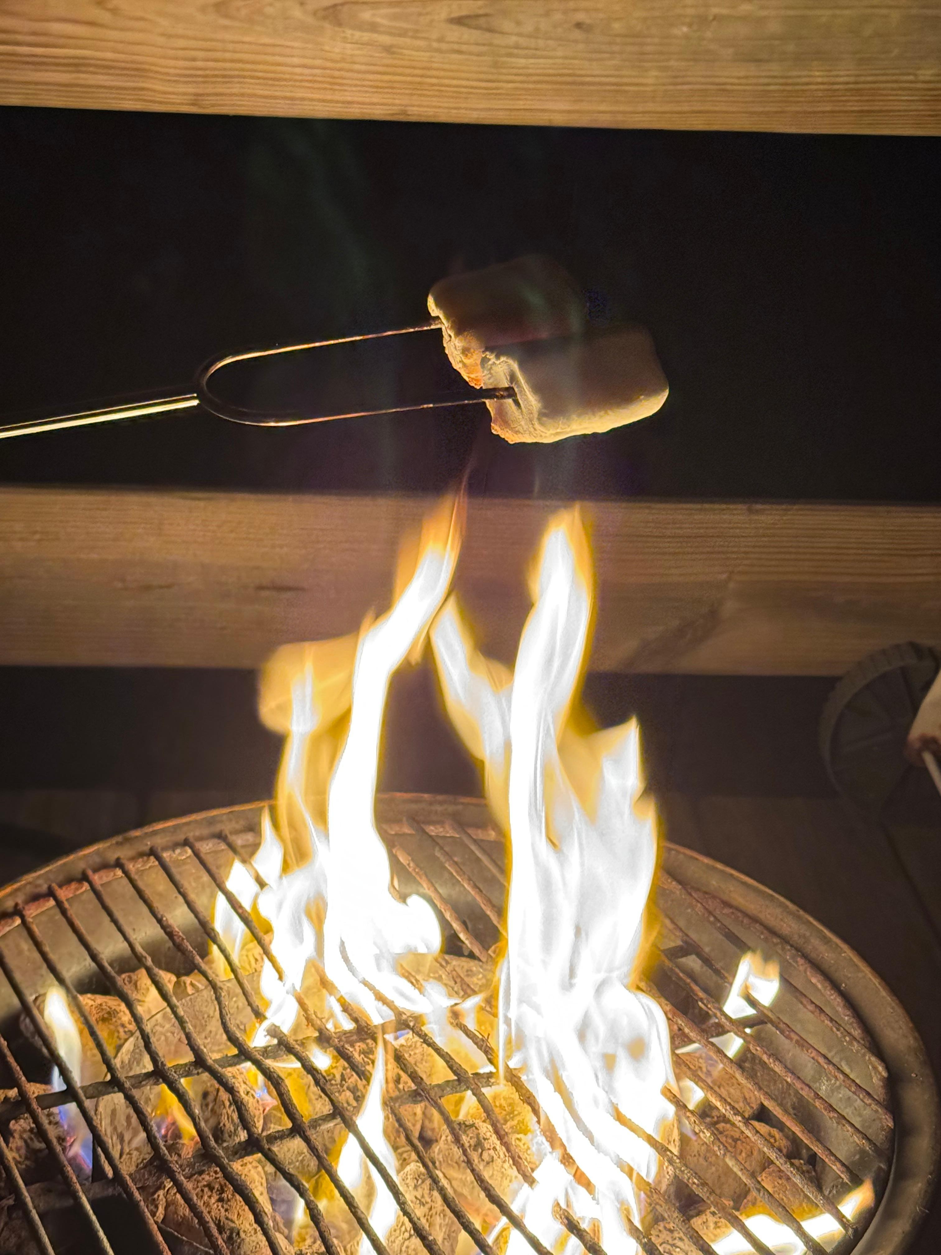 Smore’s over the fire pit on the included porch 