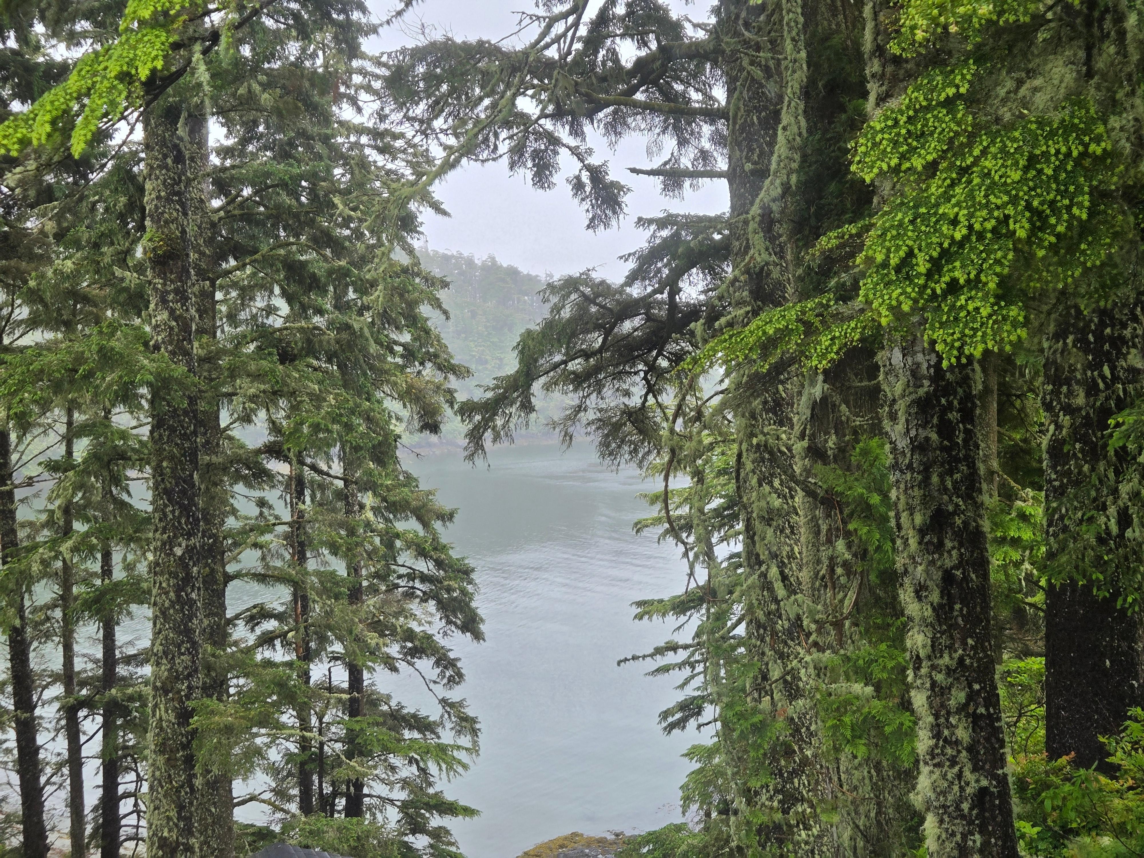 View from Balcony