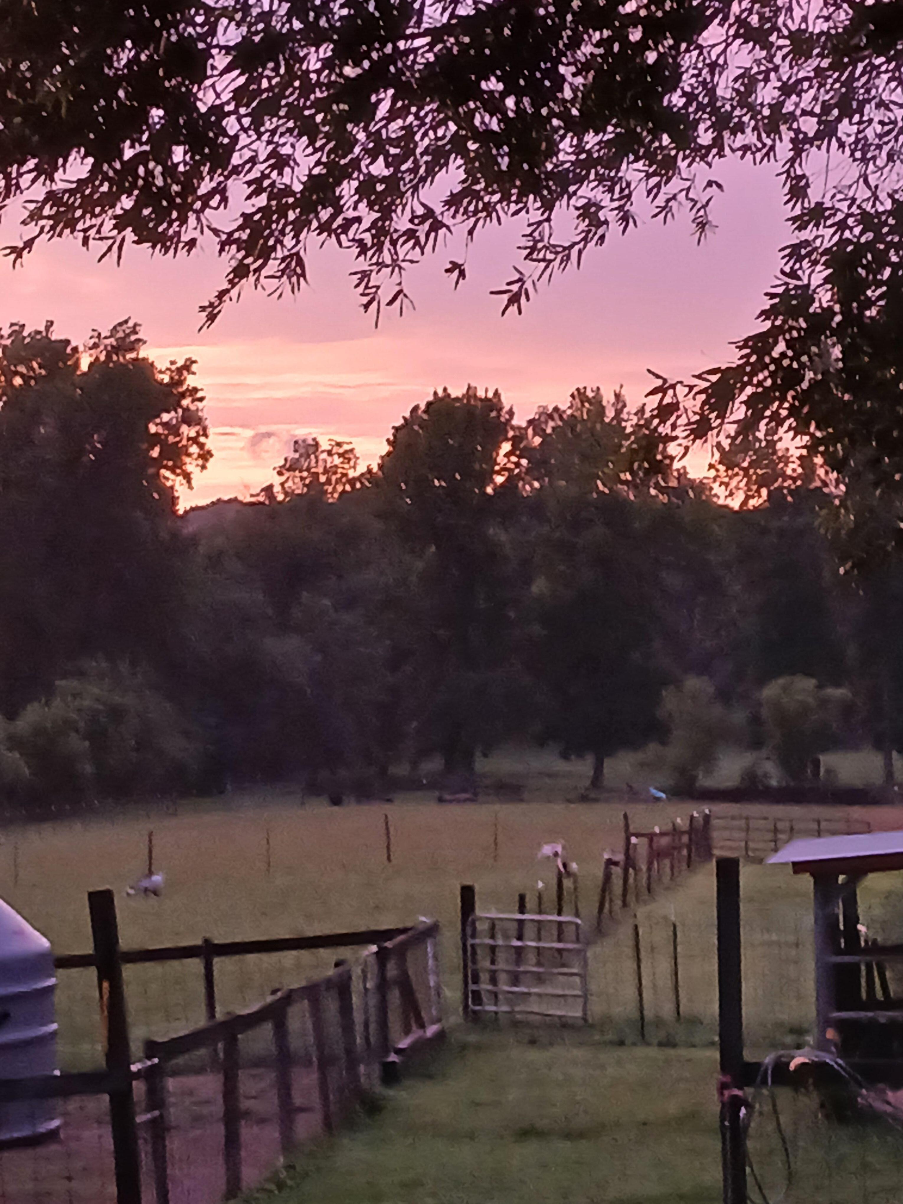 Sunset from Cottage 
