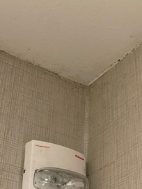 Mold in the bathroom