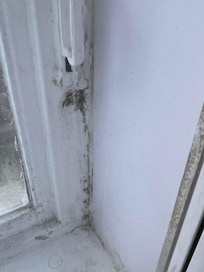 Mould on window sill
