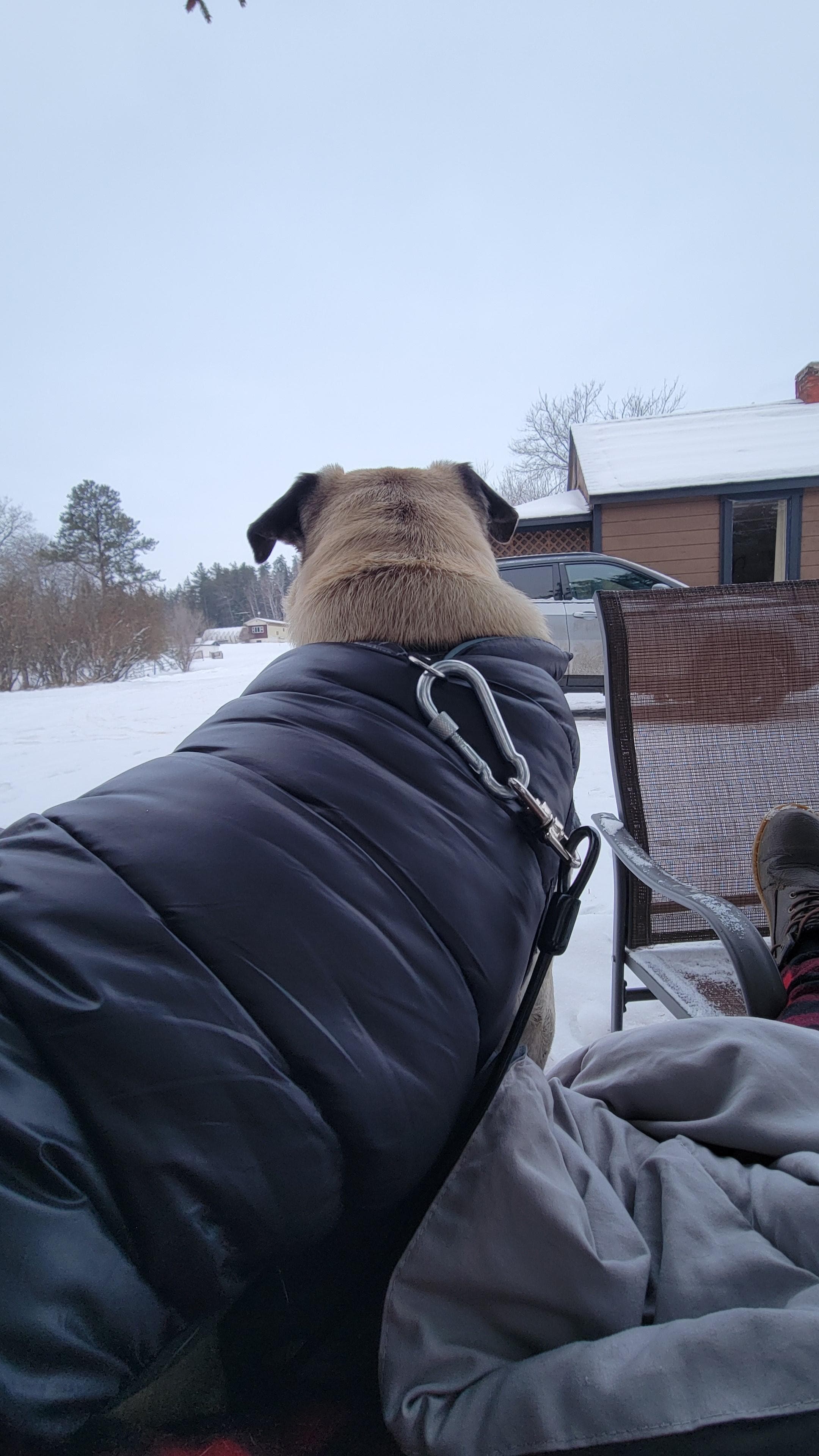 Everyone enjoyed the views 