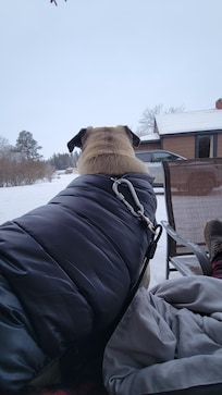 Everyone enjoyed the views
