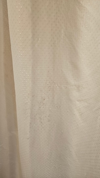 Shower curtain with mold