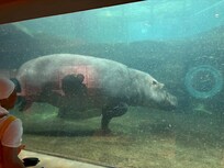 旭山動物園