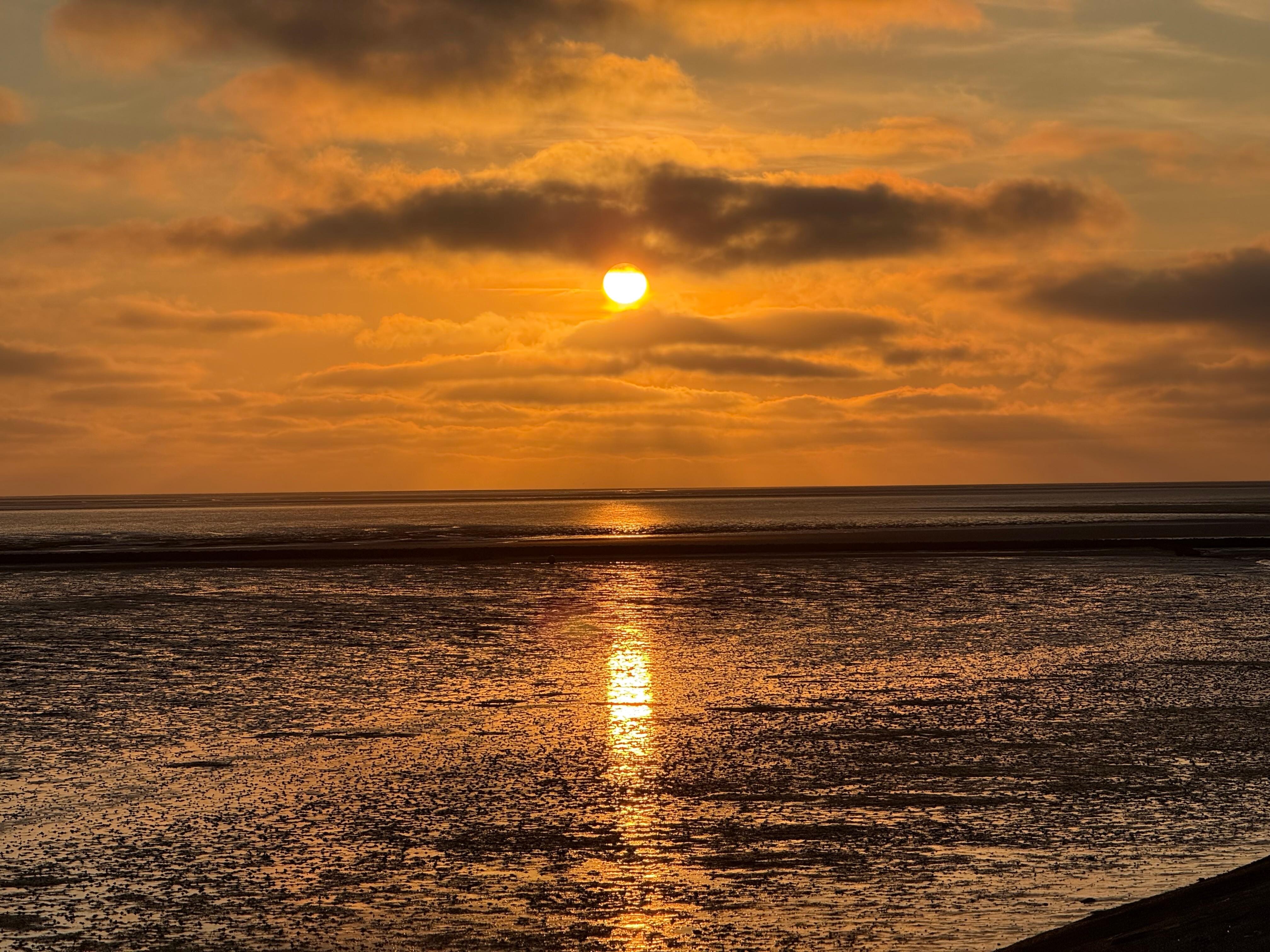 Sonnenuntergang.
Im Watt 