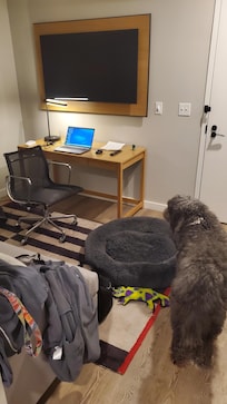 Pet friendly and a separate den/office