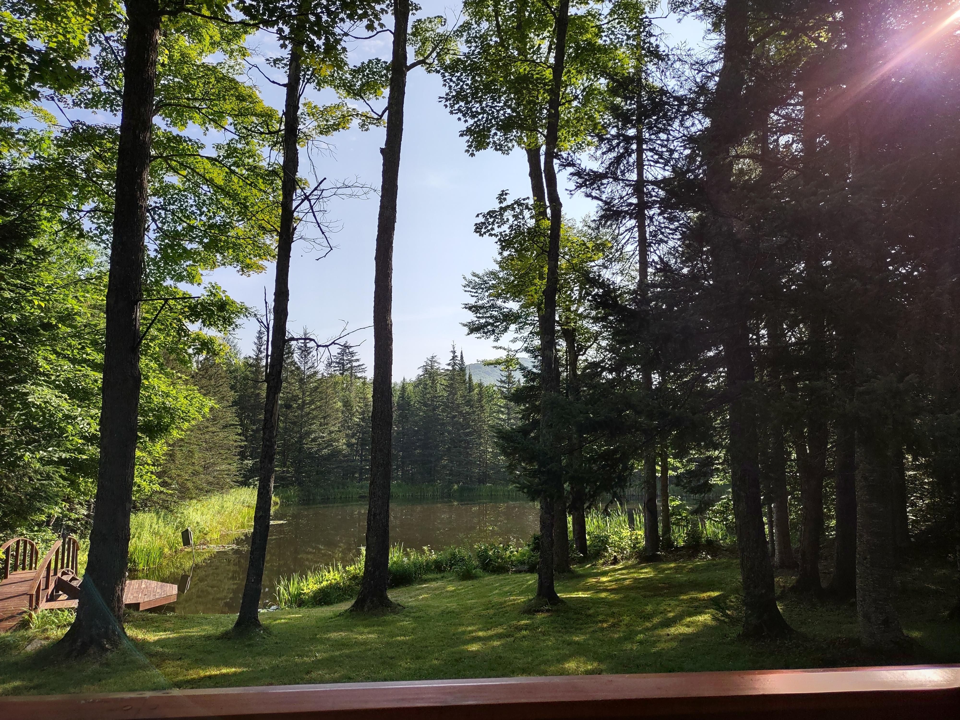 Pond view from the deck