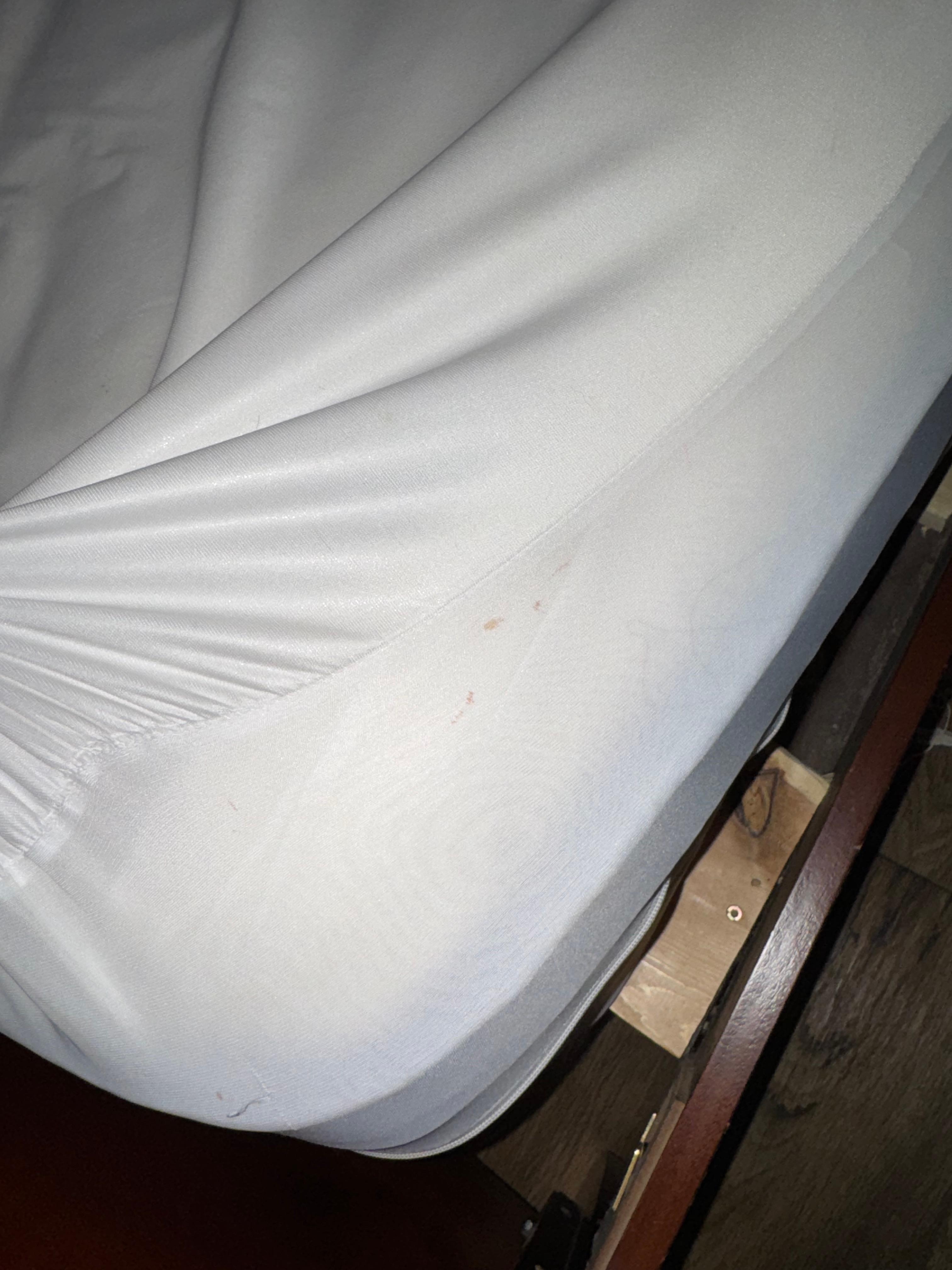 Stains on the bed