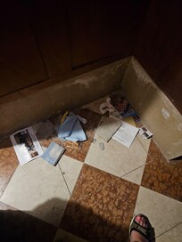 Trash on entry