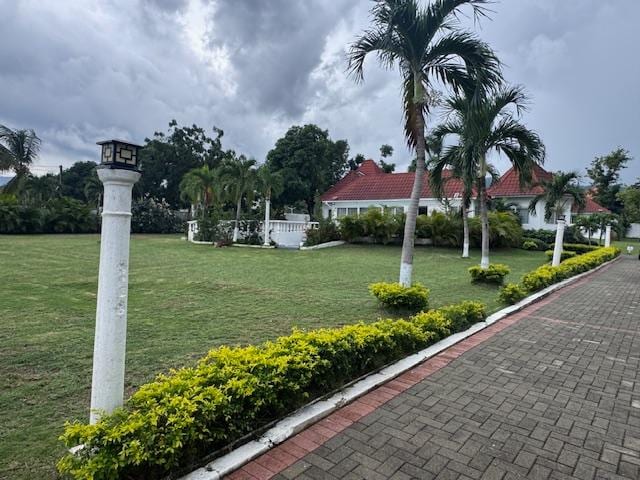 Photo of COCO PALMS Property