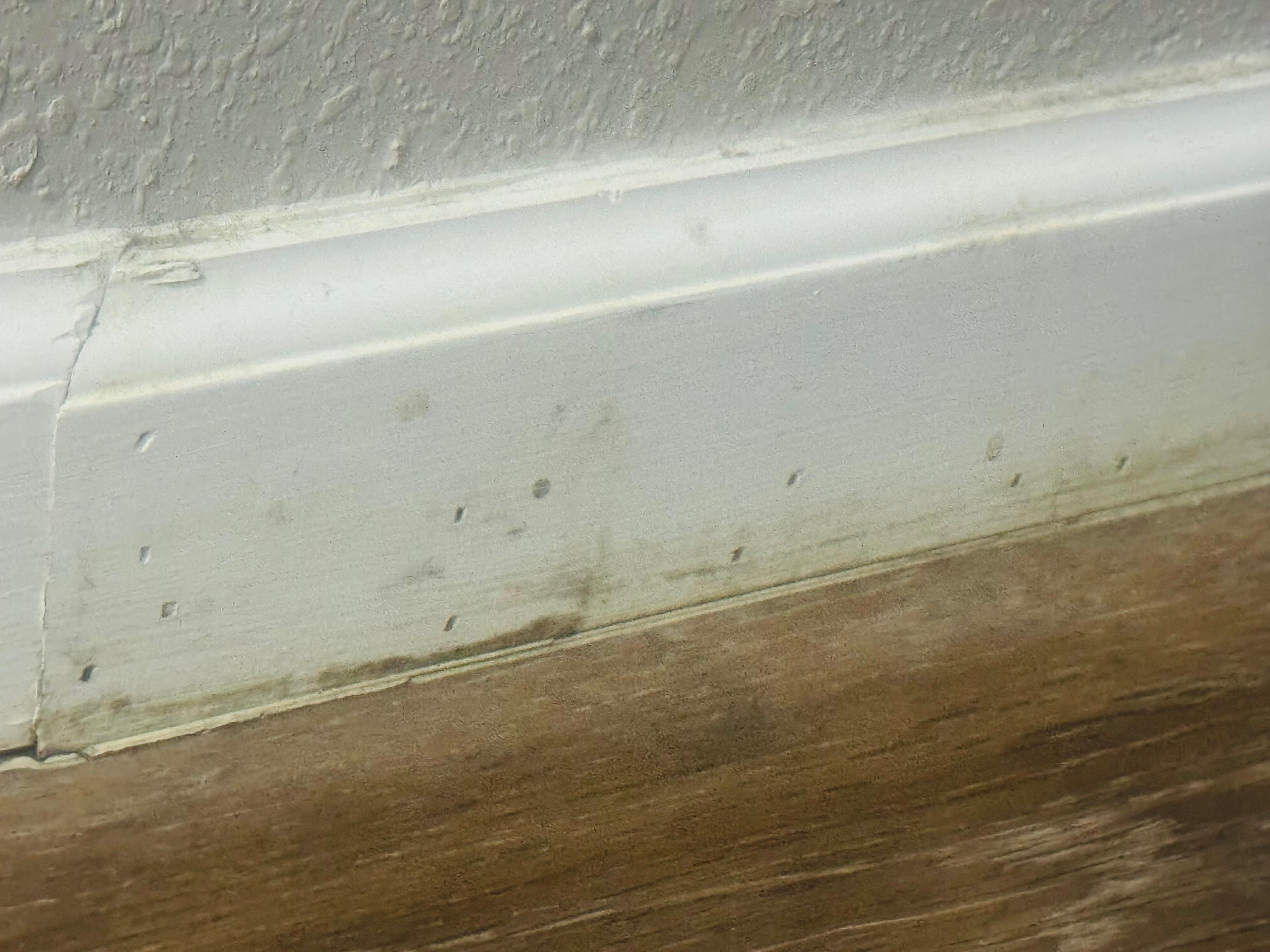 Baseboards all dirty. 