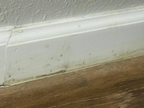 Baseboards all dirty.