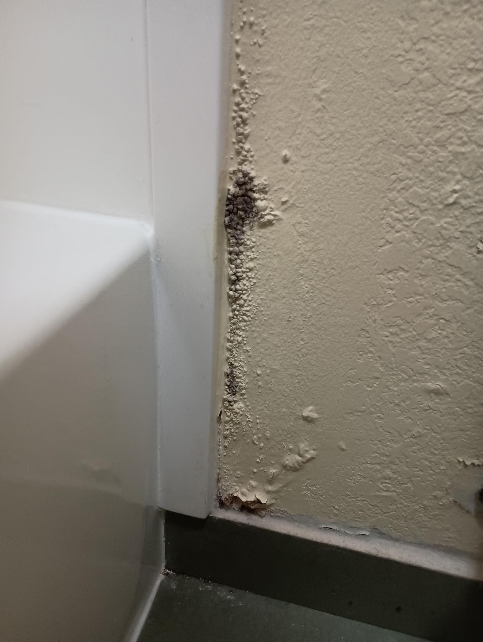Mold in the bathroom. 