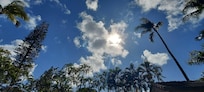 From the pool