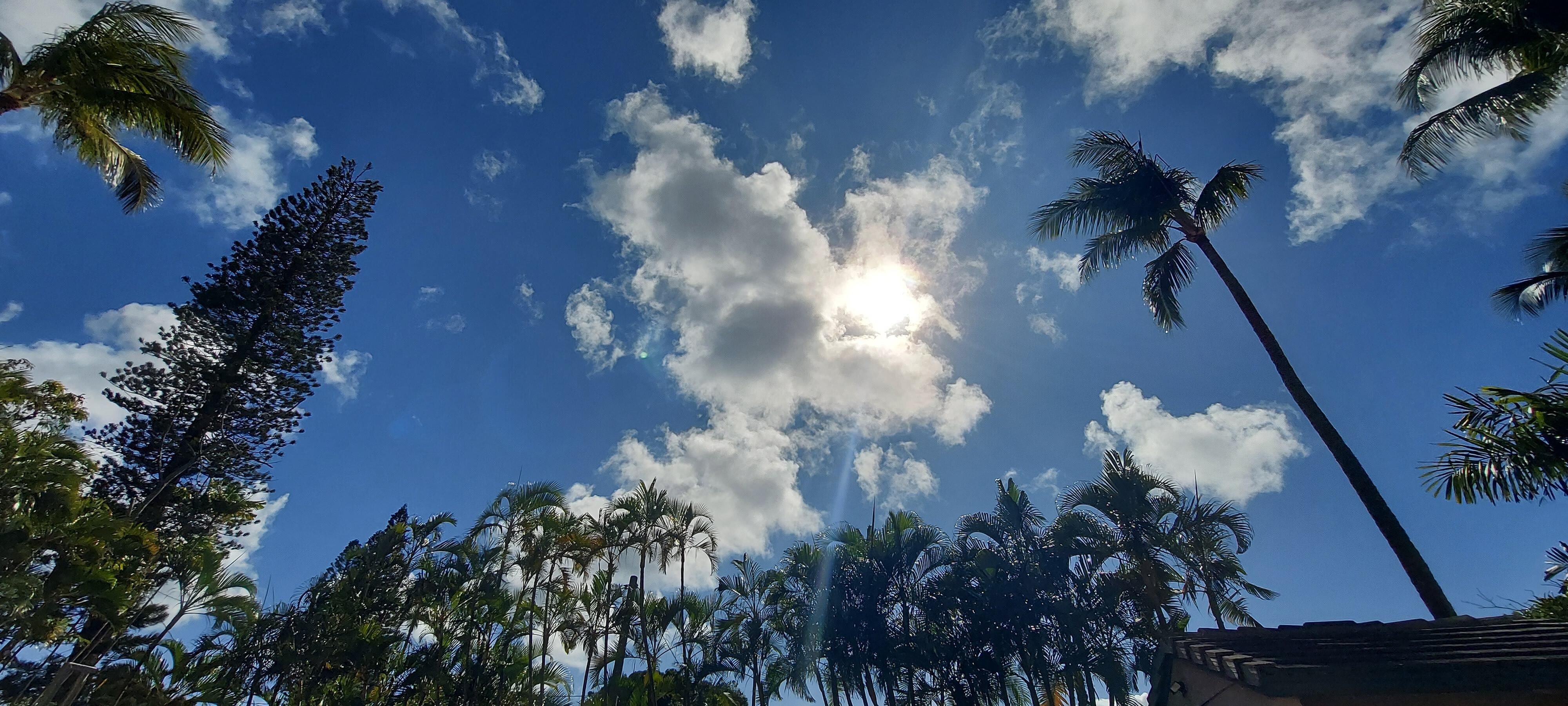 From the pool