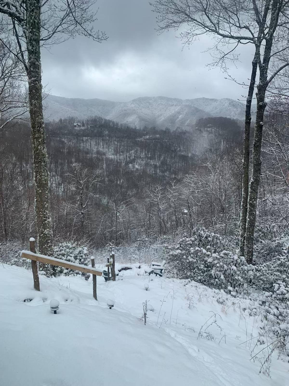 View from bedroom  window.