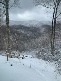 View from bedroom window.