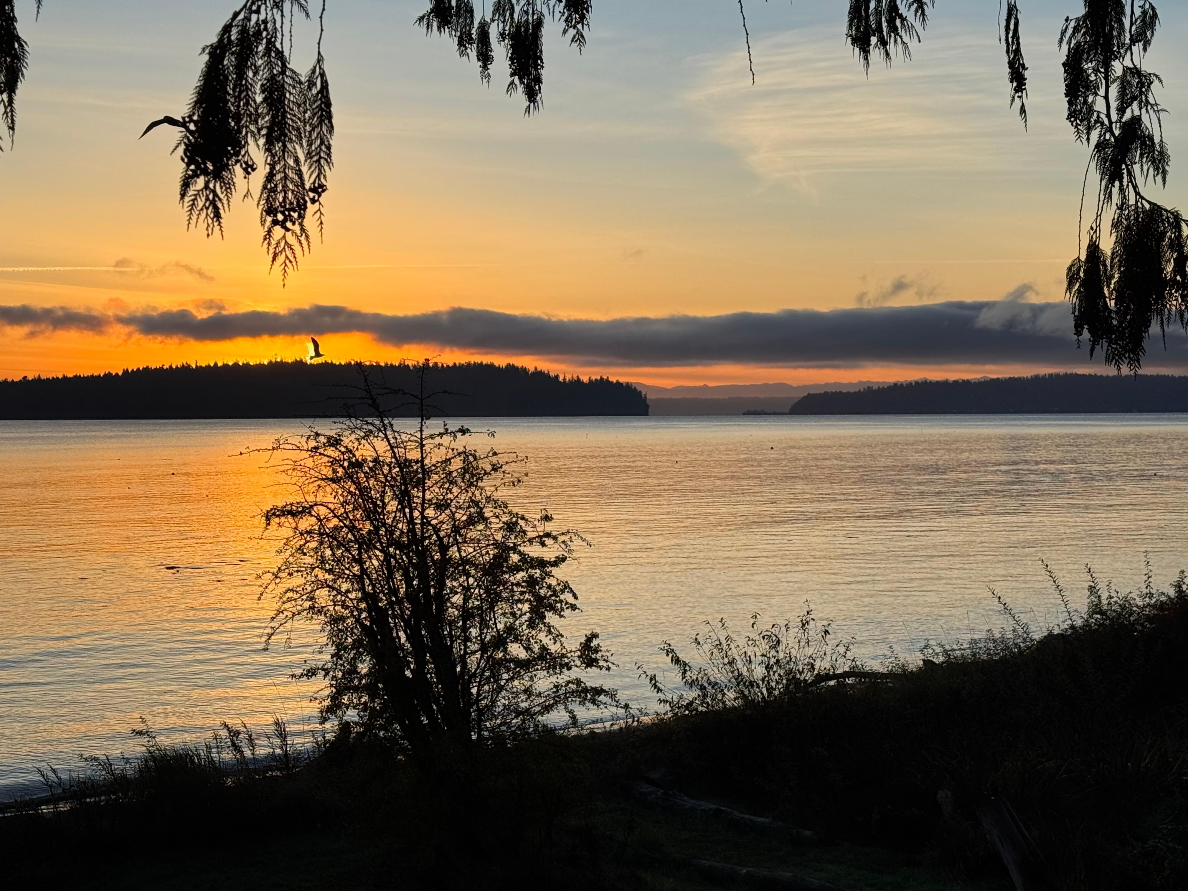 View of the water from the front yard at sunrise 