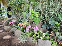 Garden in the atrium