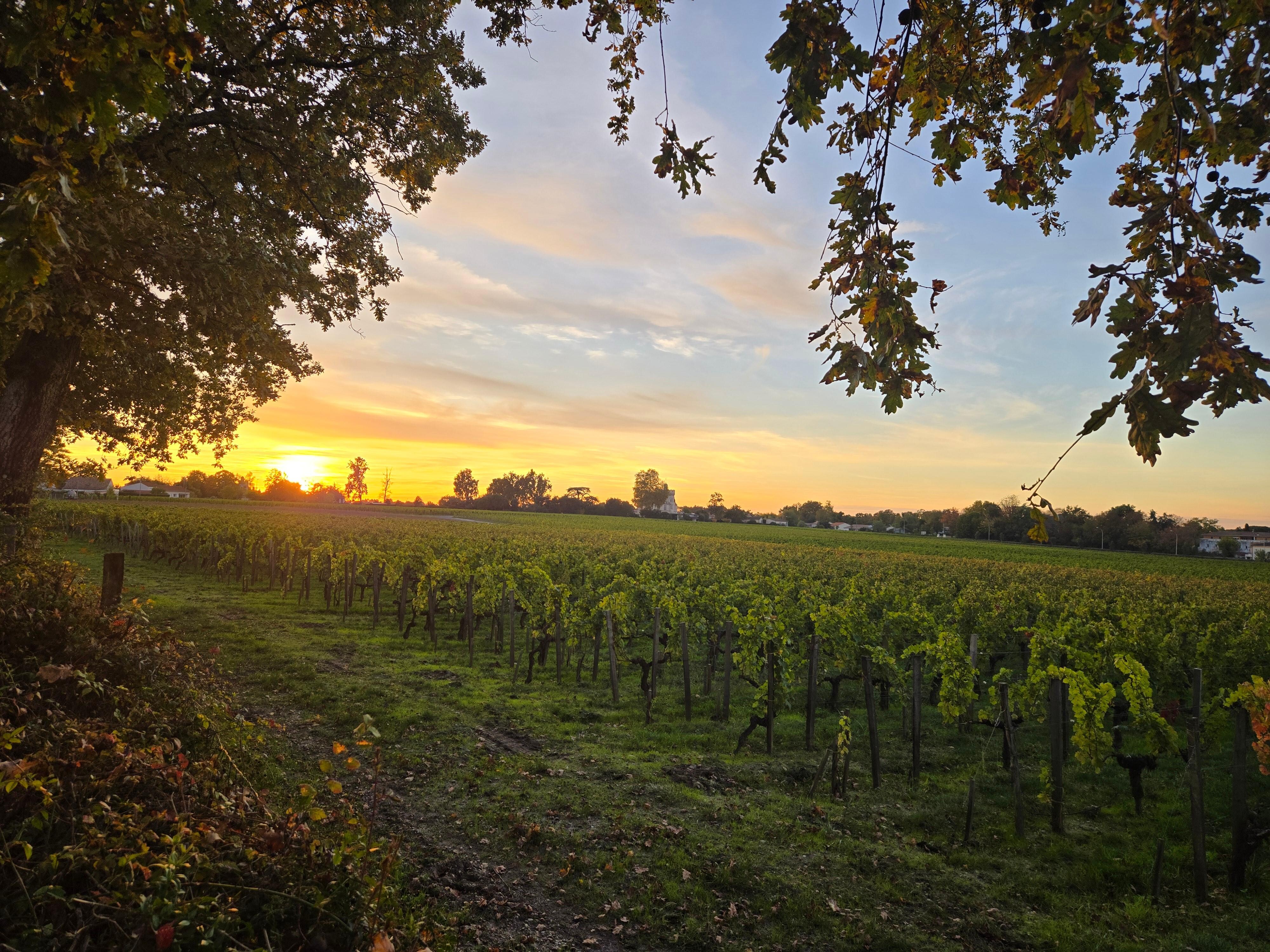 Sunset view from the road in front of the property 