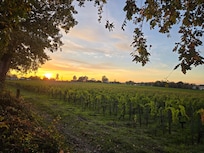 Sunset view from the road in front of the property