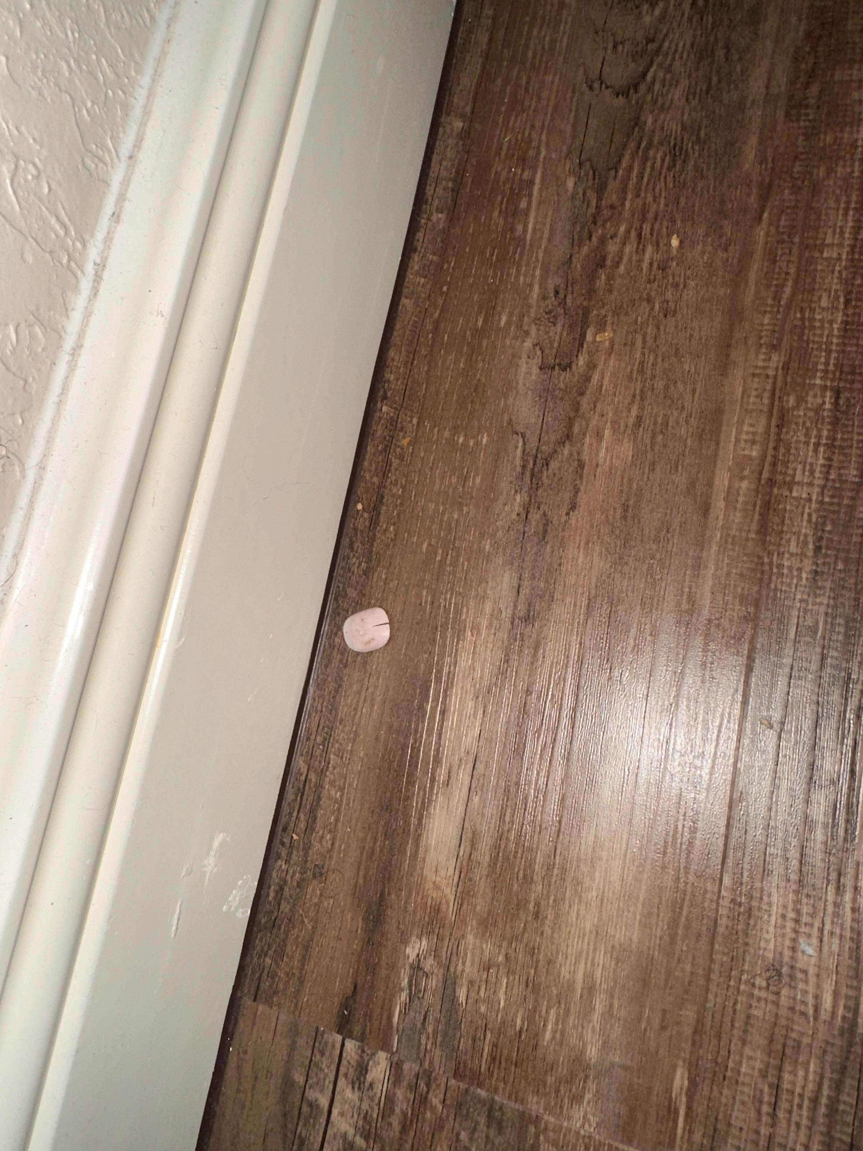 Fingernail and food. 