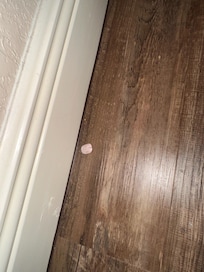 Fingernail and food.