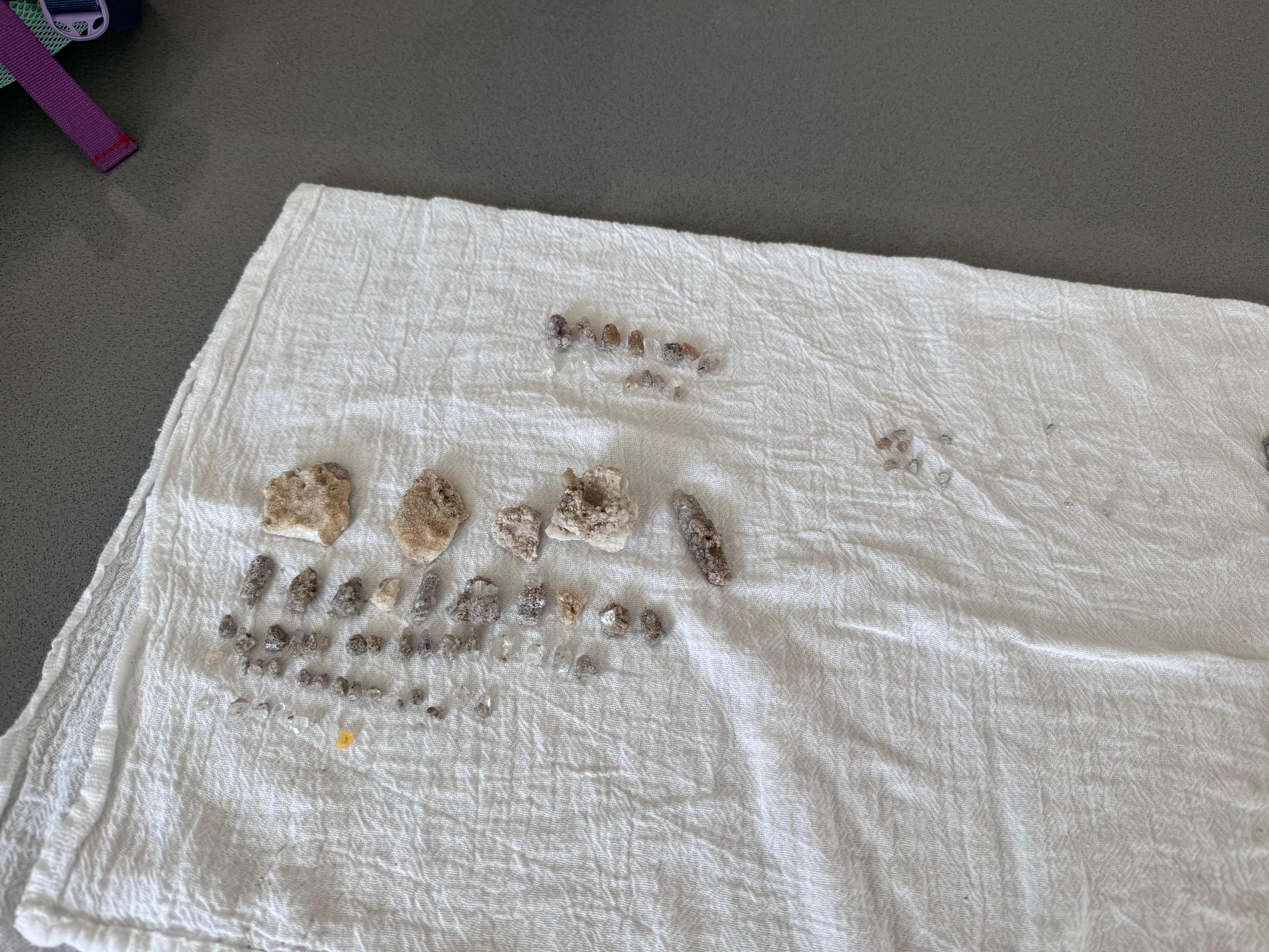 Rockhounding samples from Topaz Mountain